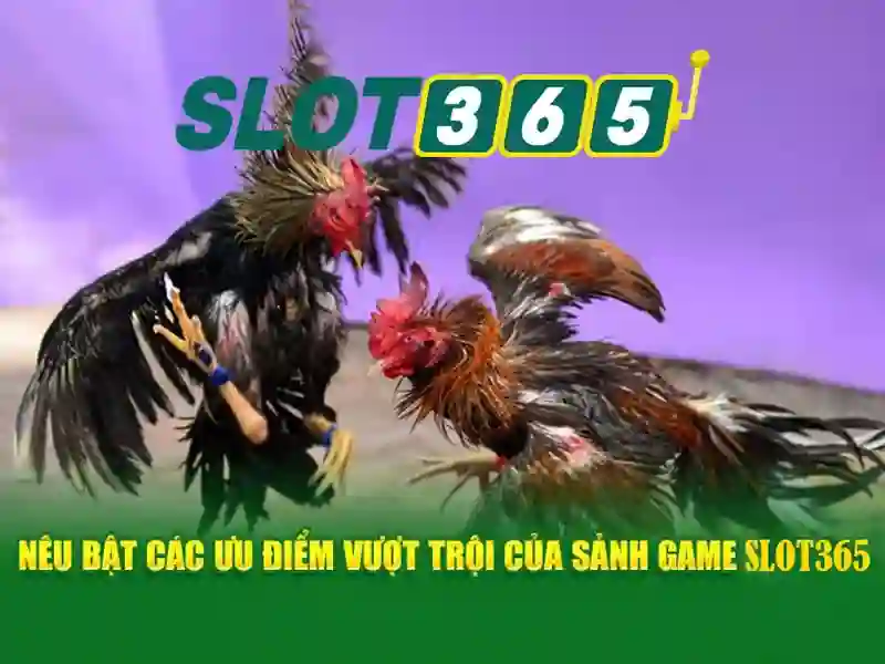 Hỗ trợ người chơi
