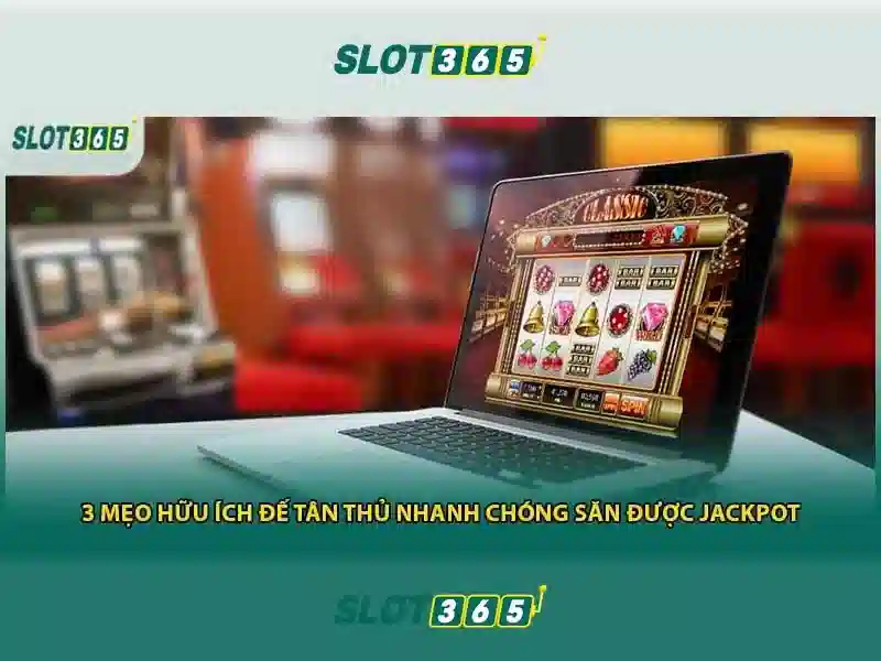 hình minh họa giao diện thanh toán