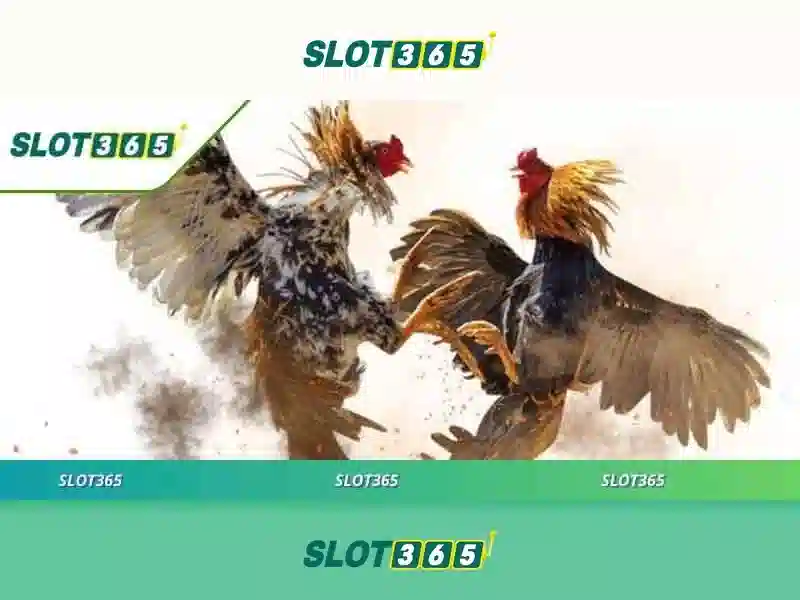 An toàn và bảo mật