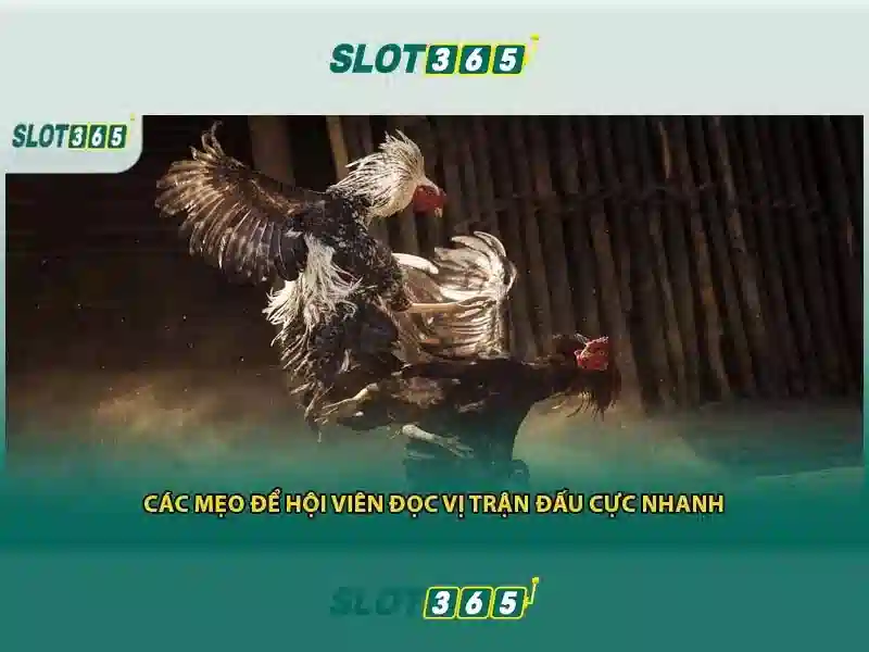 Khả năng thanh toán và bảo mật