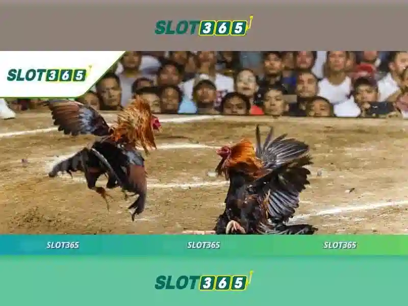Giao diện nhà cái hoàn hảo