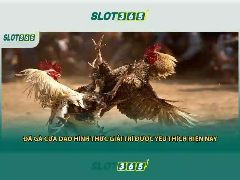 Giao diện người dùng và trải nghiệm