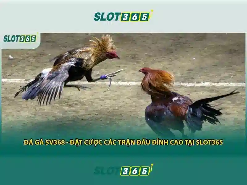 Tính năng nổi bật