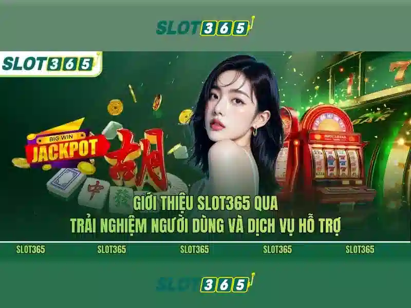 Hỗ trợ và dịch vụ khách hàng
