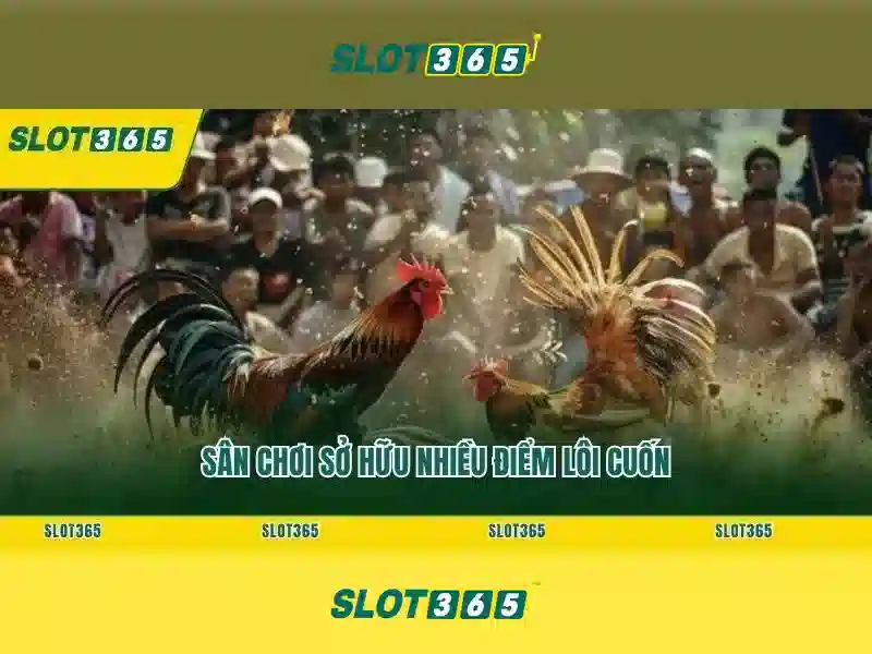 Slot365 - Đánh giá nền tảng slot trực tuyến