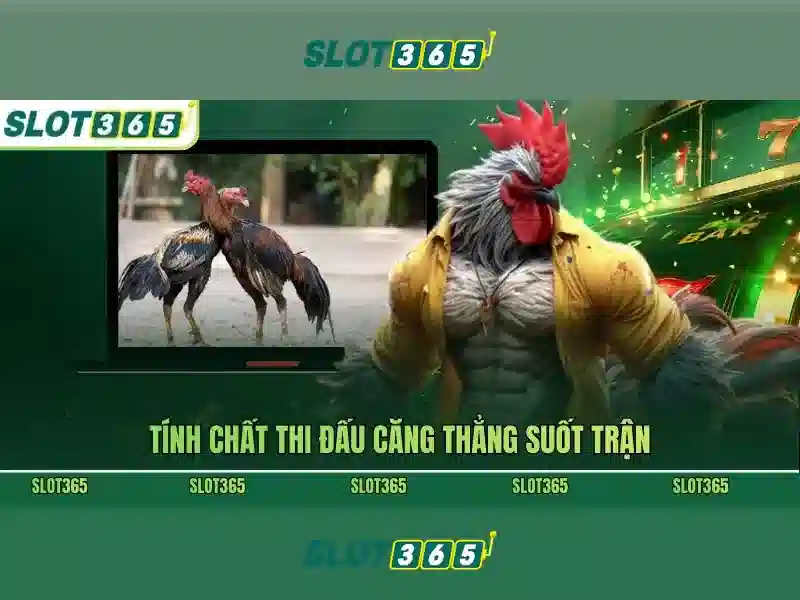Slot365 là gì và tại sao nó thu hút người chơi Giao diện nhà cái hoàn hảo