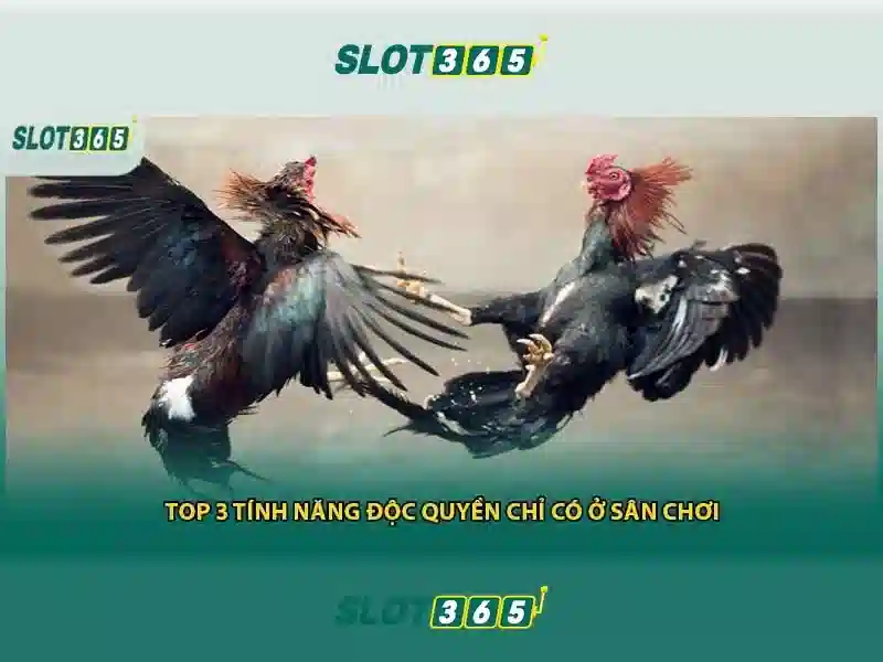 security_banner