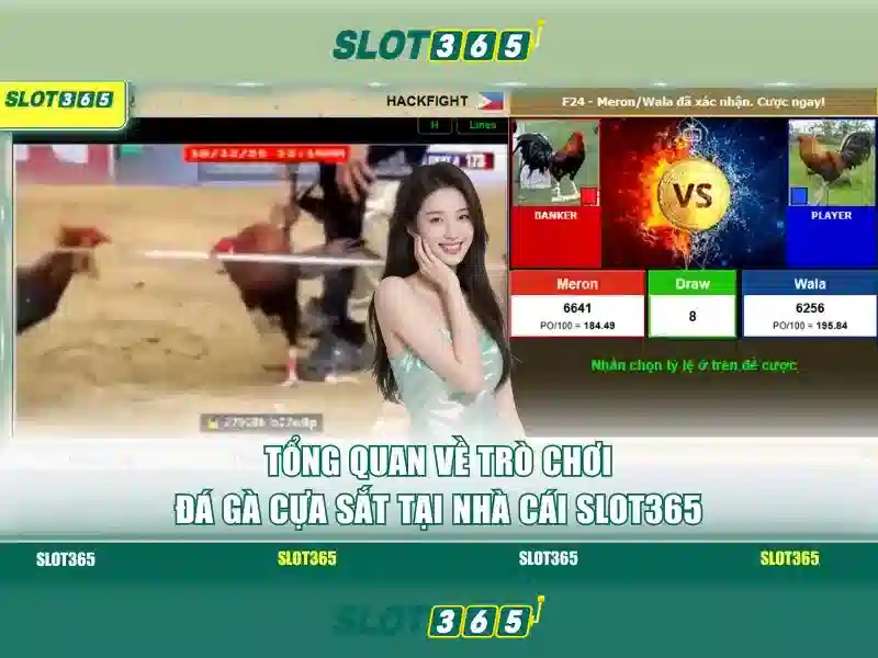 An toàn và pháp lý