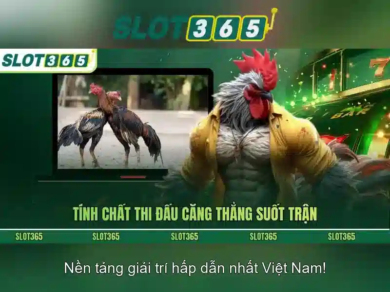 Danh mục trò chơi đa dạng tại Slot365
