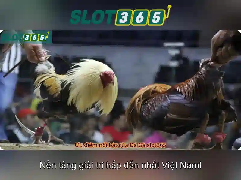Slot365 - Nền tảng slot trực tuyến hàng đầu