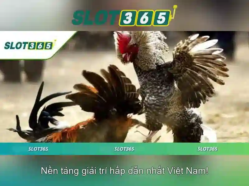 Giao diện nhà cái hoàn hảo