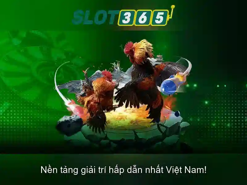 Slot365 - Đánh giá nền tảng cá cược trực tuyến hàng đầu Giao diện nhà cái hoàn hảo