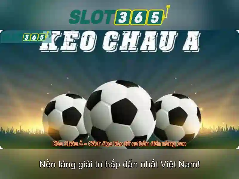 ung dung dien thoai di dong