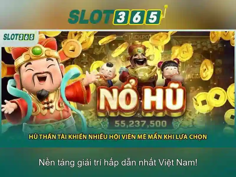 Trải nghiệm người dùng và hỗ trợ