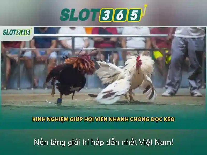 Giao diện nhà cái hoàn hảo