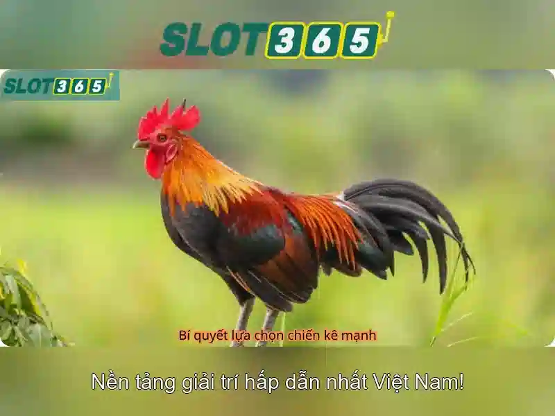 Trải nghiệm chơi game đa dạng trên Slot365