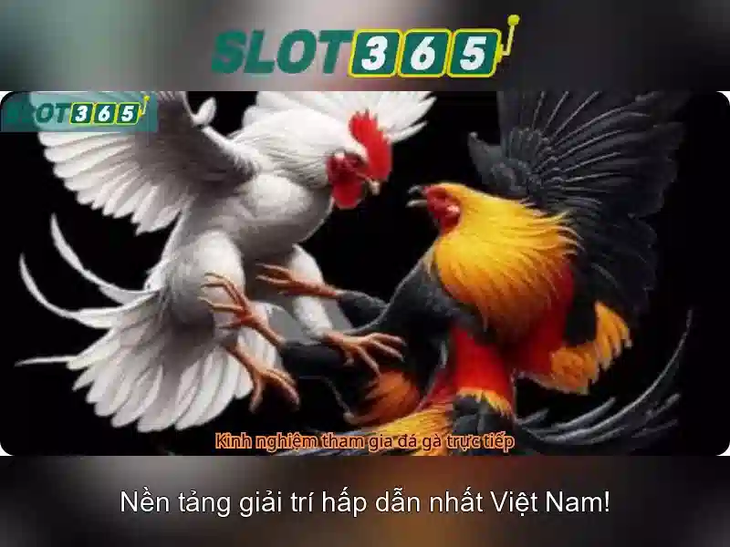 Giới thiệu về Slot365