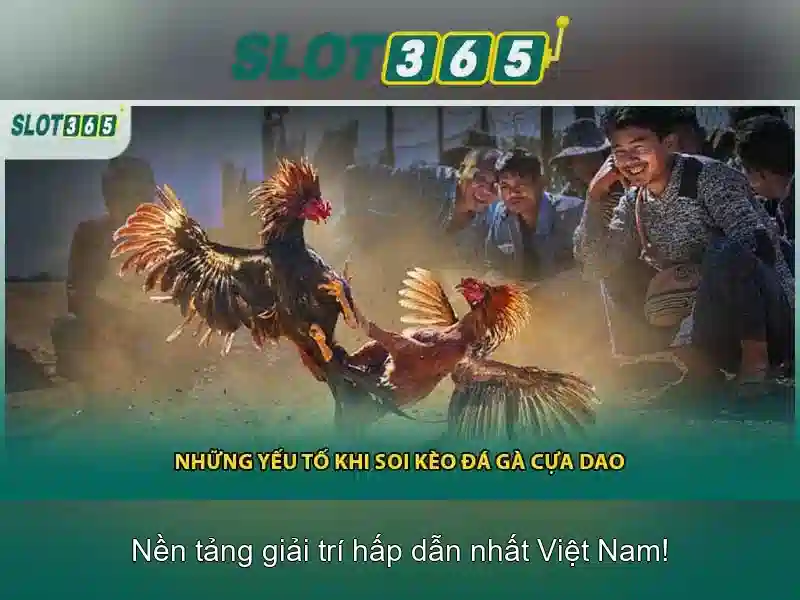 Tiện ích và thanh toán