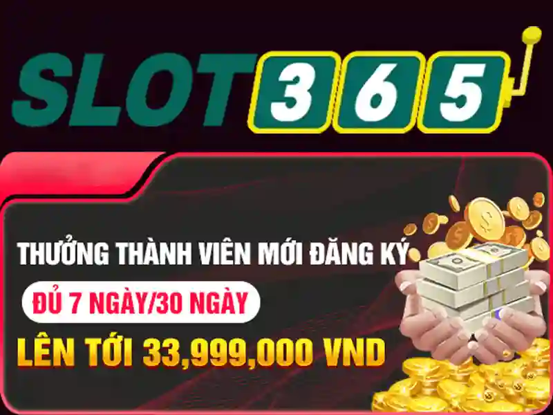 Trải nghiệm người dùng và thiết kế