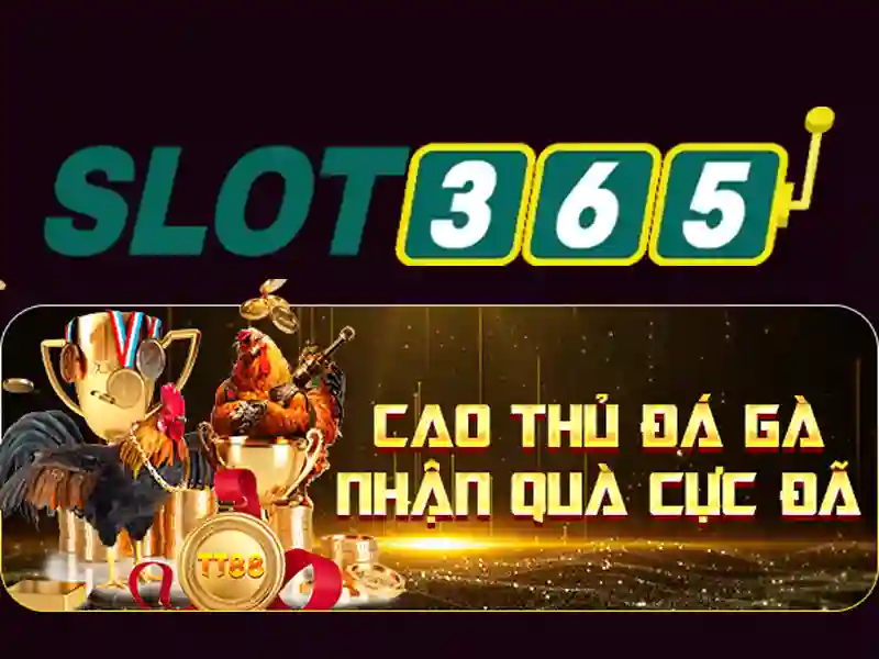 Slot365 là gì?