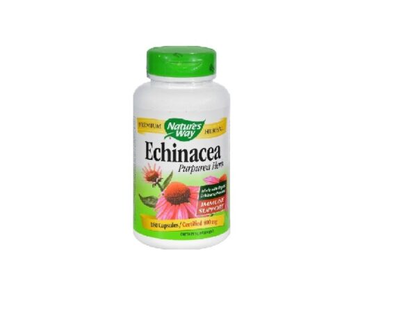 Benefits of Echinacea Supplements