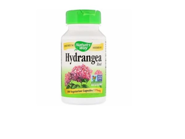 Benefits of Hydrangea Supplements